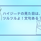 ハイジーナの見た目や割合いは？