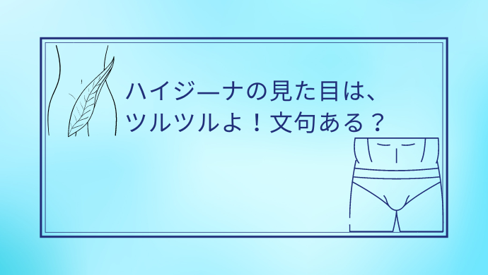 ハイジーナの見た目や割合いは？